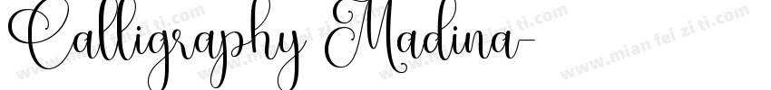 Calligraphy Madina字体转换